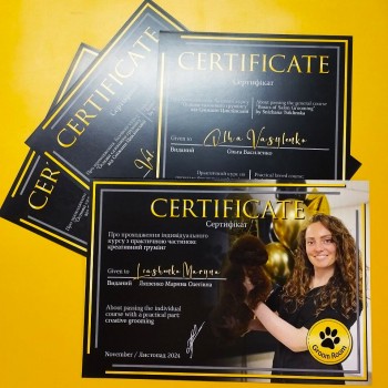 Сертифікати